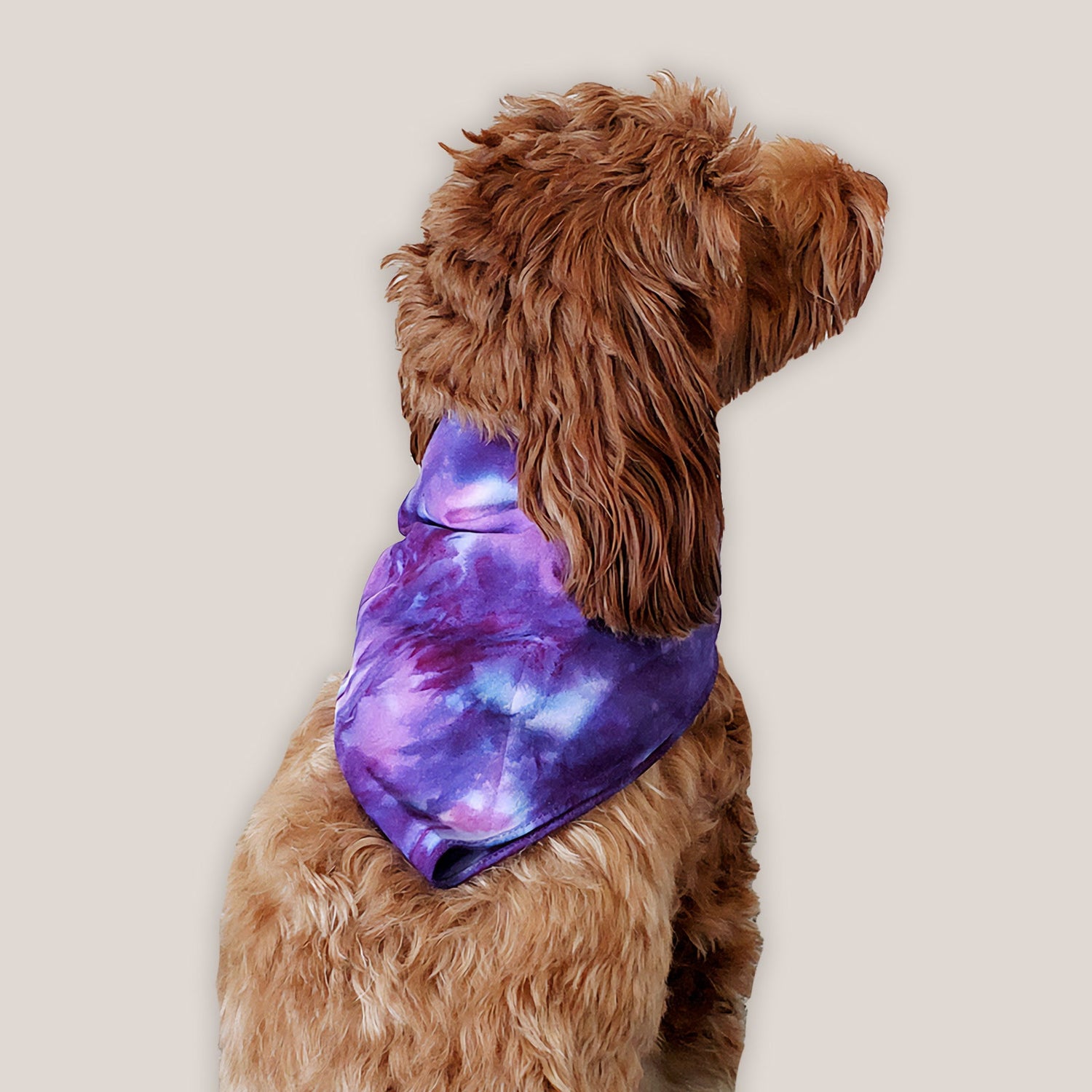Tie Dye Dog Scarves
